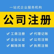 企業(yè)代辦注冊(cè)哪家好　稅務(wù)共享服務(wù)中心的設(shè)計(jì)思路